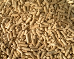 Wood pellets.JPG