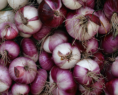 Onions.jpg