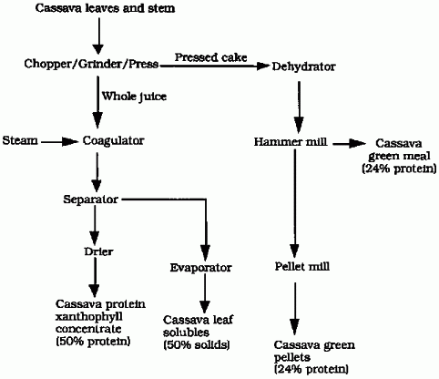 Cassave meal flow chart little.gif