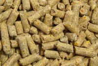 Soybean meal pellets.jpg