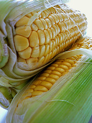 Sweetcorn.jpg