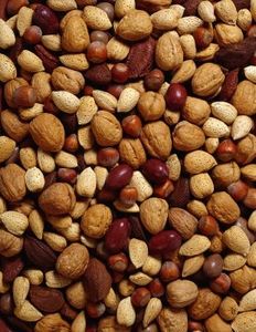 Nuts and kernels-1.jpg