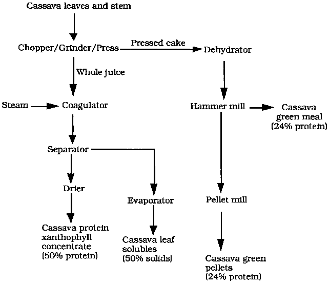 Cassave meal flow chart.gif