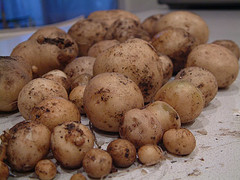 Potatoes.jpg