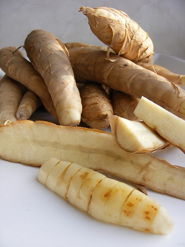 File:Arrowroot1.jpg