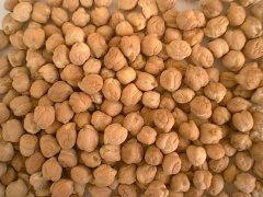 Chick peas-1.jpg