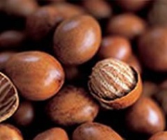 Shea nuts-1.jpg