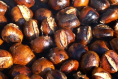 Chestnuts-1.jpg