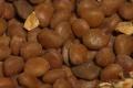 Thumbnail for version as of 14:55, 31 October 2012