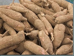 Cassava roots.jpg
