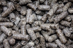 Beetpulp pellets.jpg