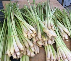 Lemon grass oil-1.jpg