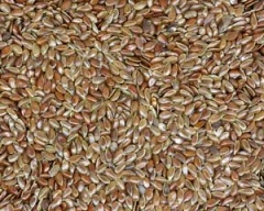 Linseed-1.jpg