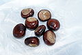 Chestnuts.jpg