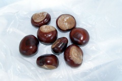 Chestnuts.jpg