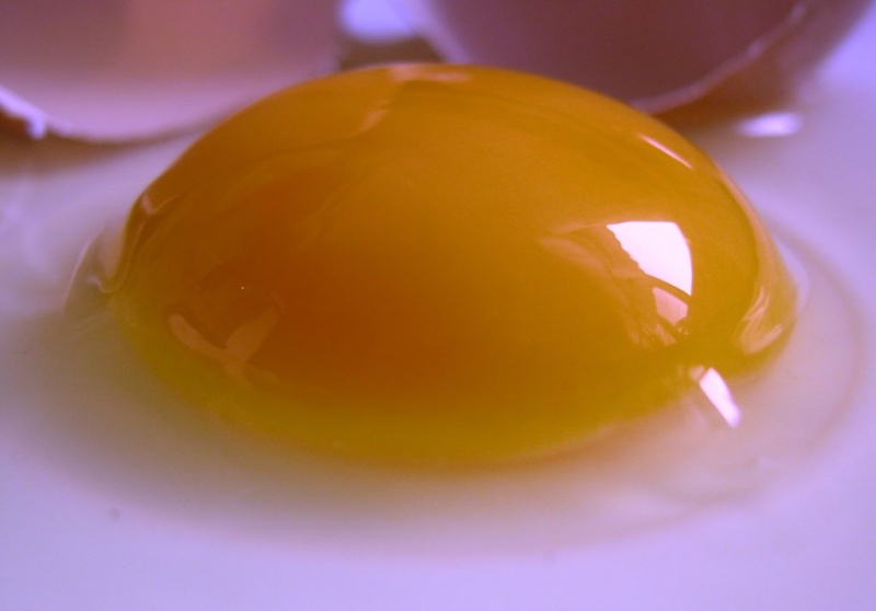 File:Eggyolk.jpg
