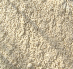 Carob kernel meal.jpg